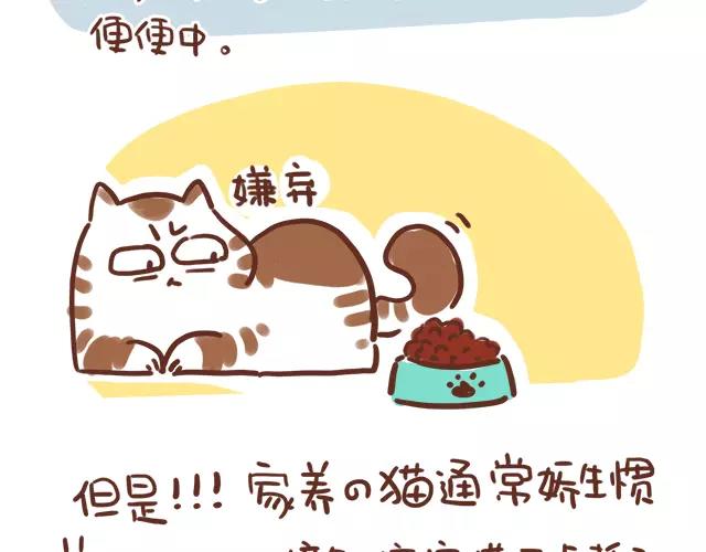 第114话 宠物禁养？！-第113话
