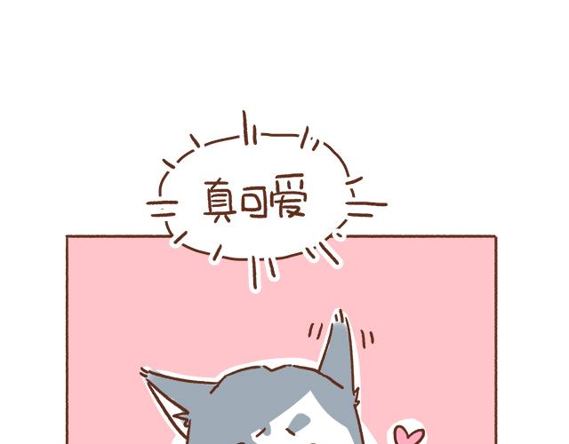 单身狗受到一万点暴击-第59话