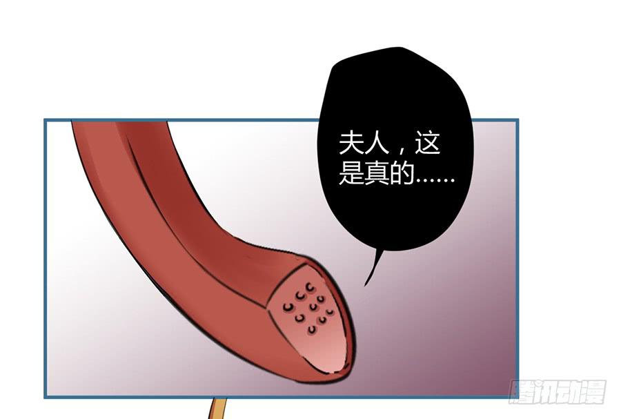 第十一话（上） 堕落的玫瑰(1/2)-第13话