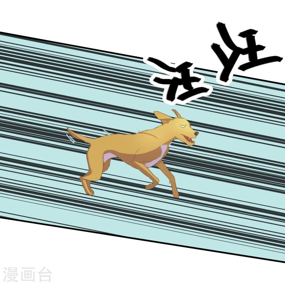 第8话 叫你明明-第9话