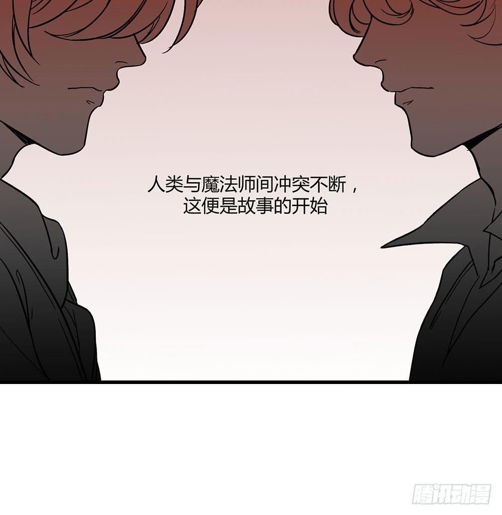 🍵白狐魔法师 不允许你受伤害 第12页