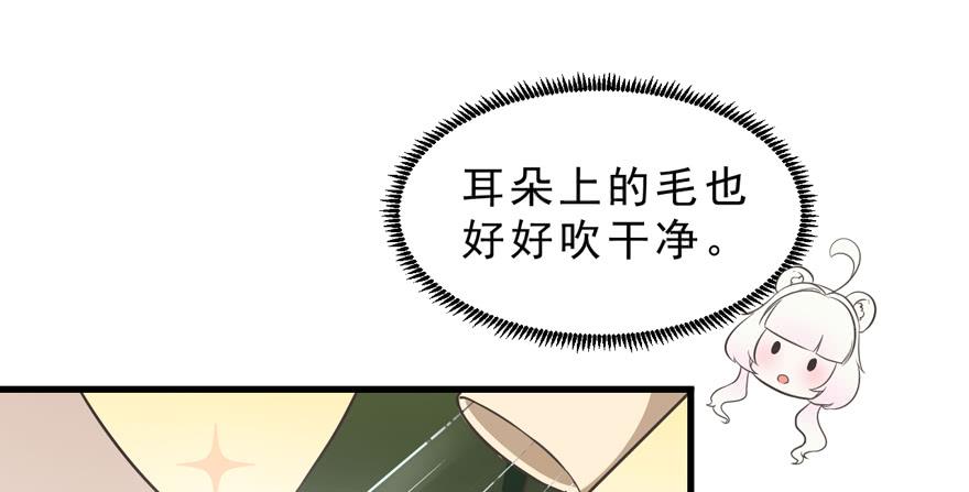 017兔子的诱惑(1/2)-第19话