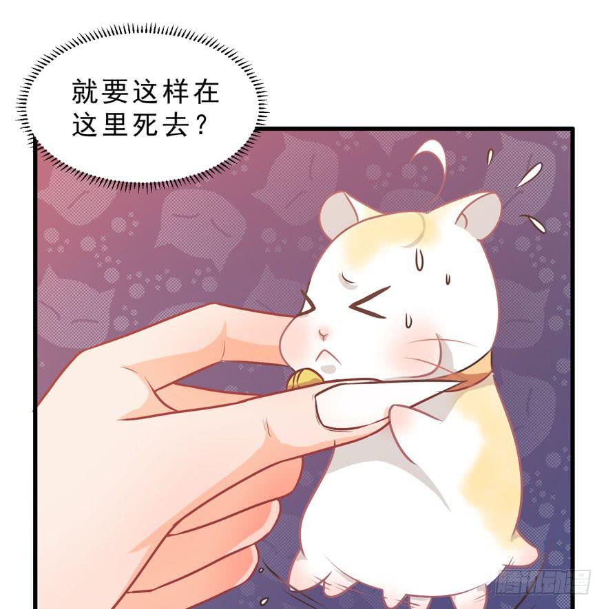 002美人救美(1/2)-第3话