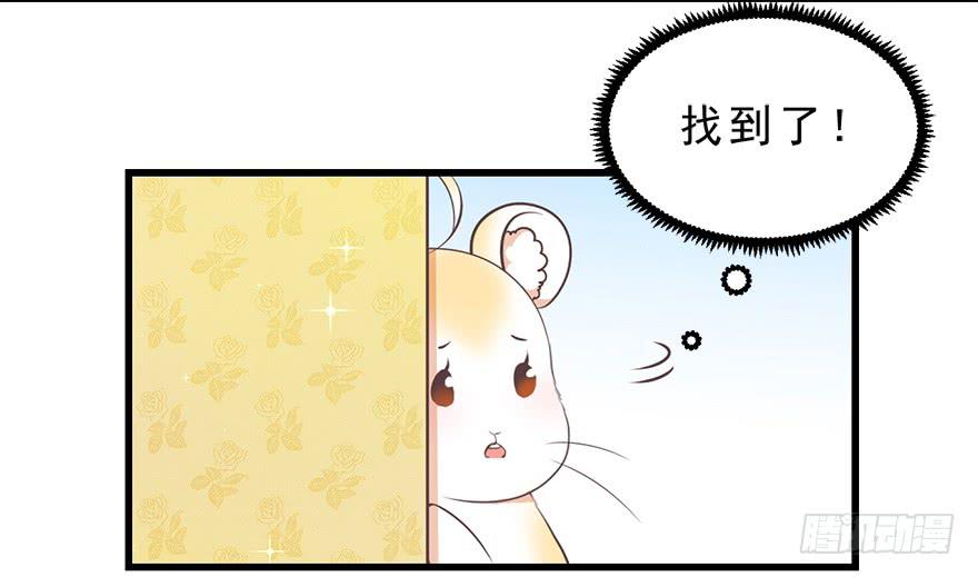 025九宝要被拍卖了-第31话