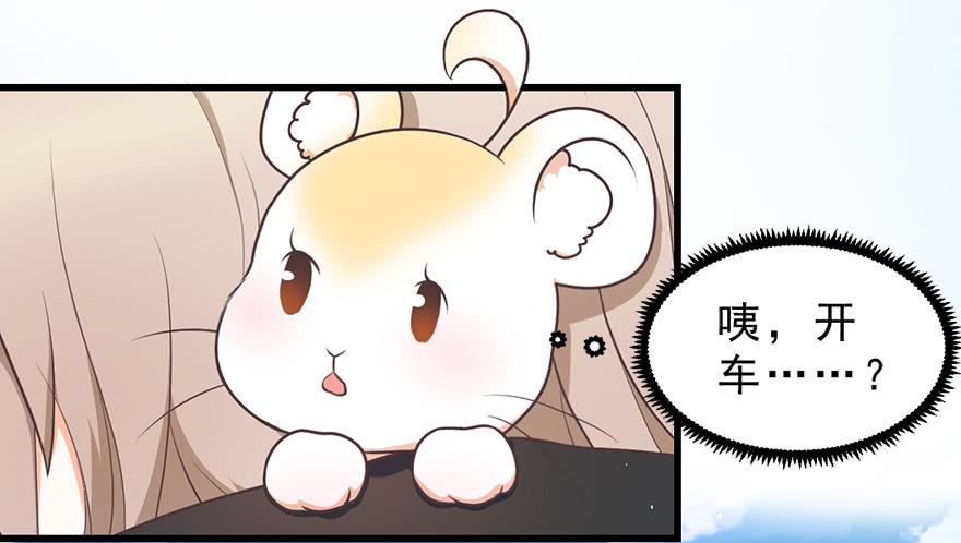 025九宝要被拍卖了-第31话