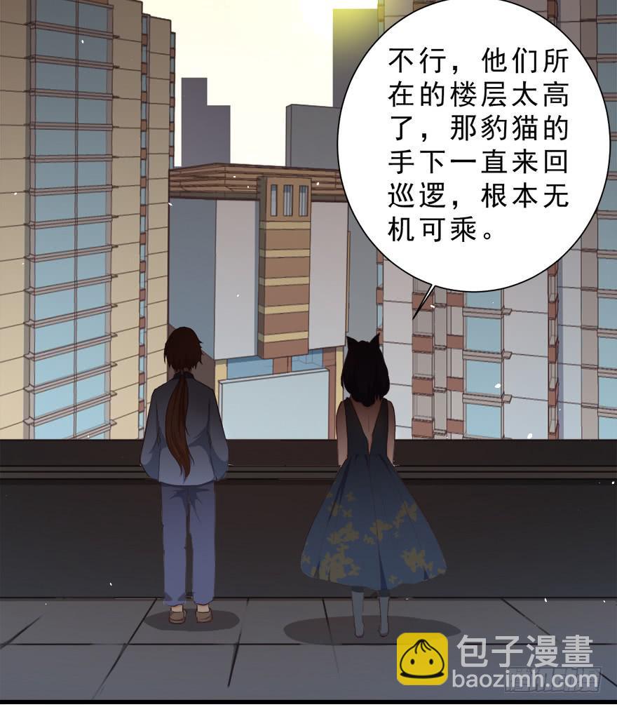 026殿下请别讨厌我(1/2)-第33话