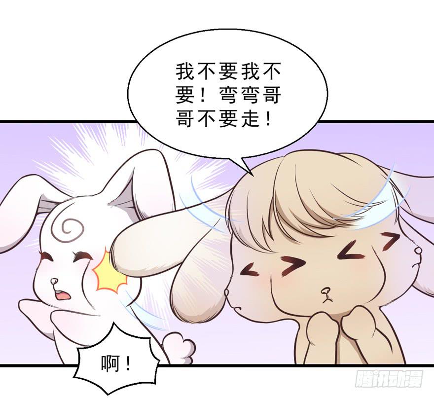 032兔子的秘密(1/2)-第41话