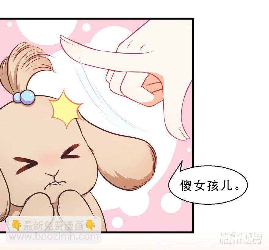 032兔子的秘密(1/2)-第41话