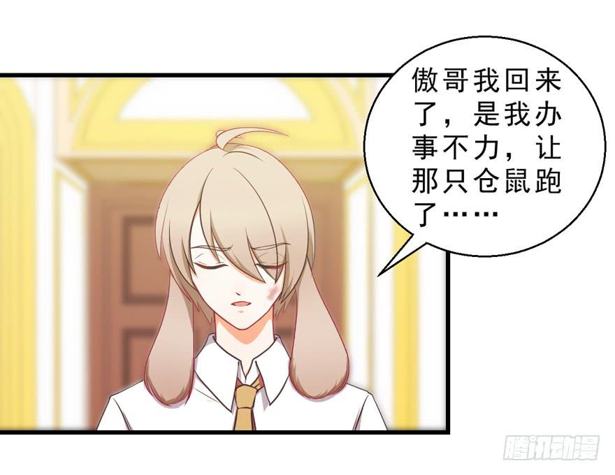 032兔子的秘密(1/2)-第41话