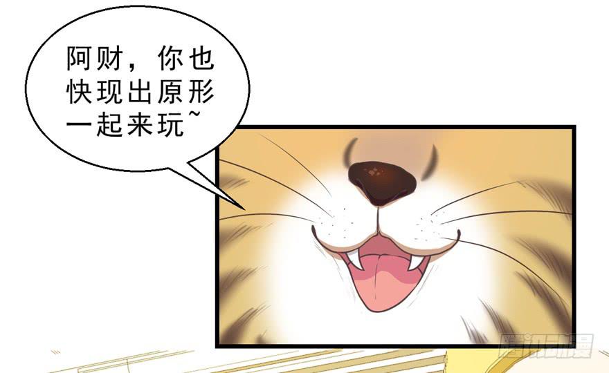 032兔子的秘密(1/2)-第41话