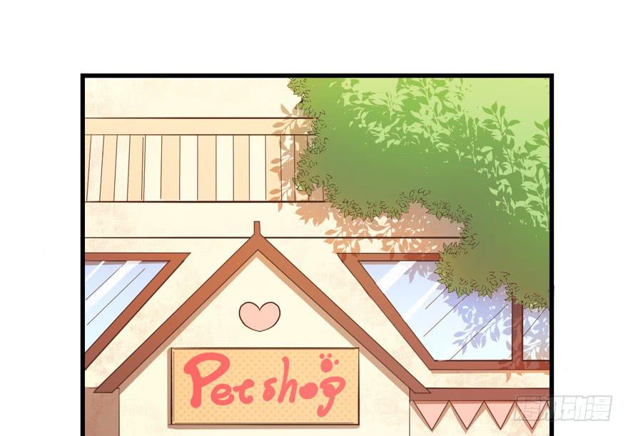 042和猫总裁的亲密约会-第51话