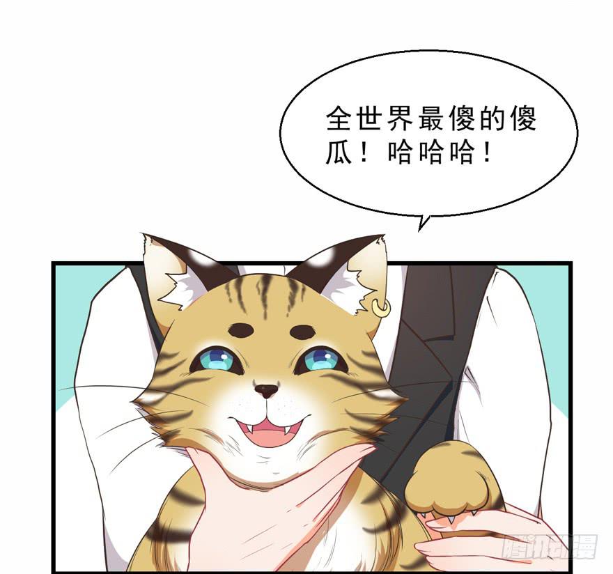 042和猫总裁的亲密约会-第51话