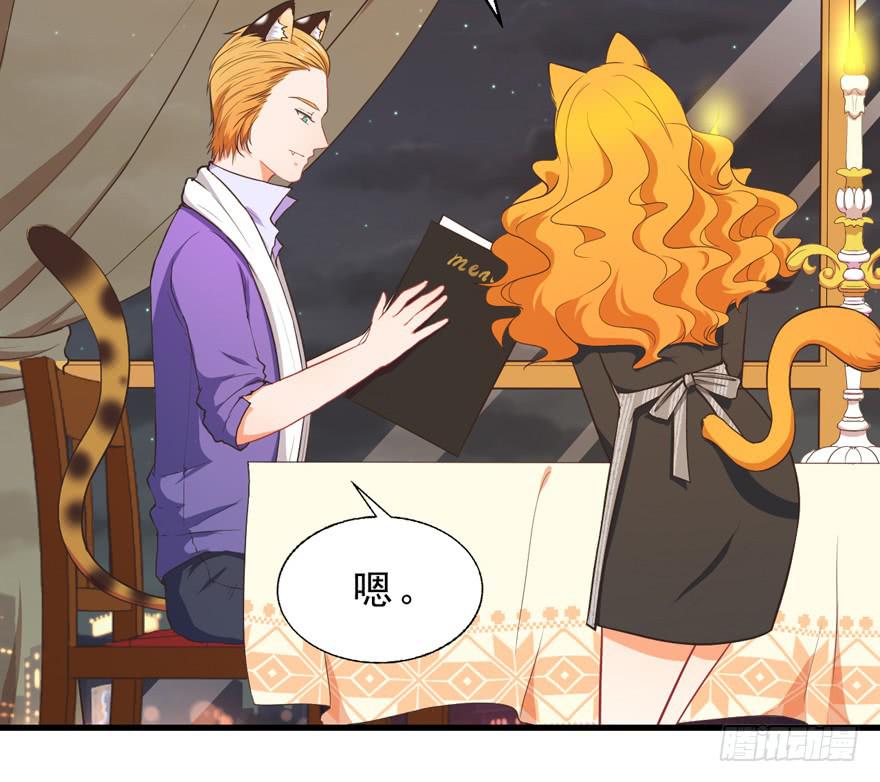 042和猫总裁的亲密约会-第51话