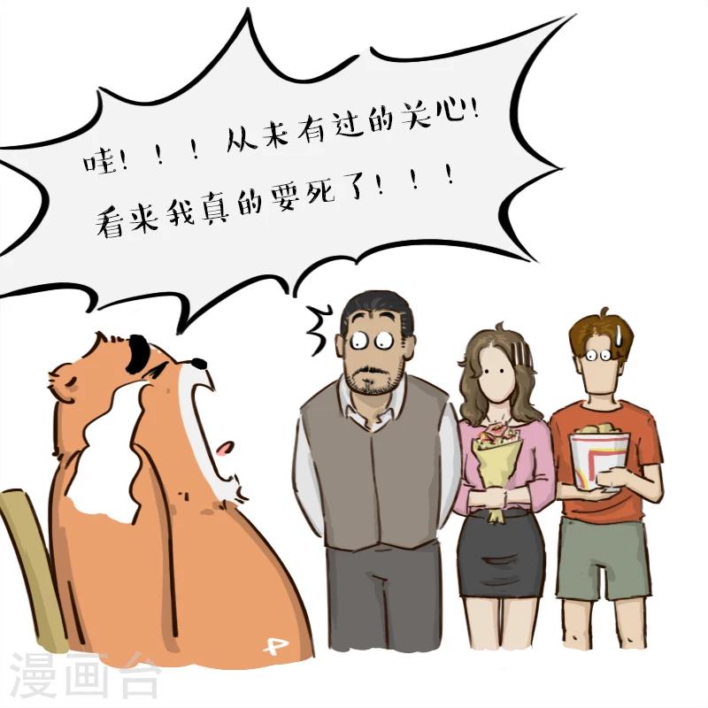 第33话-第33话