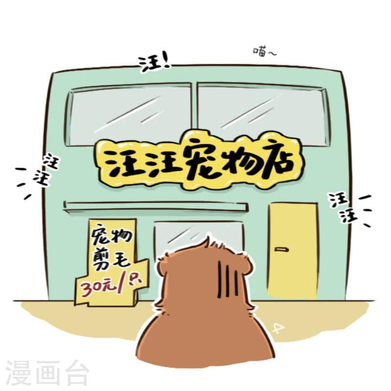 第5话-第5话