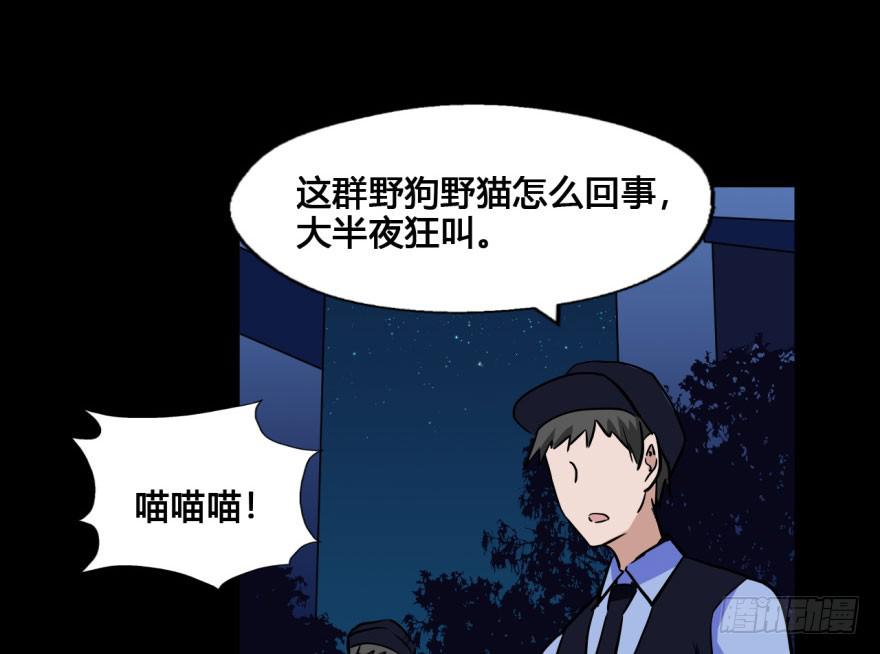 37 任务no.5另一个殷柴（三-第37话
