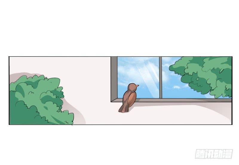第五十一话 复仇的开局(1/2)-第47话