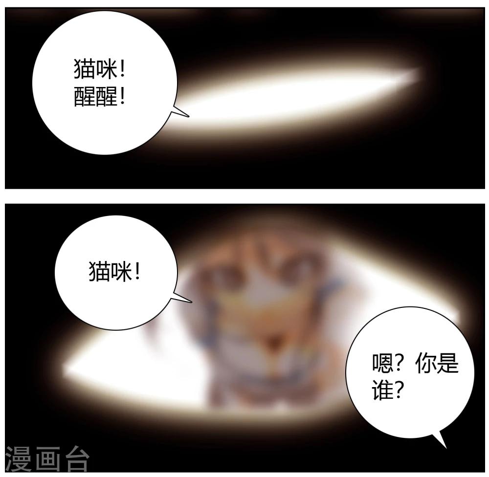 第36话 猫男的愿望-第37话