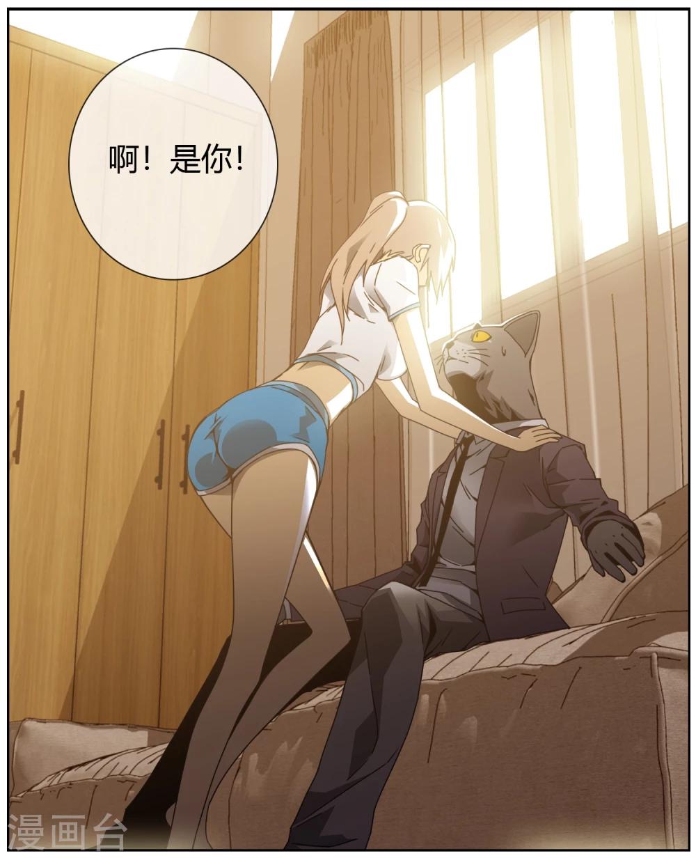 第36话 猫男的愿望-第37话