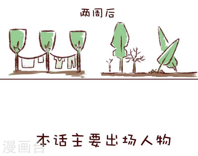 第14话 植树&rdquo;友谊&ldquo;赛-第15话