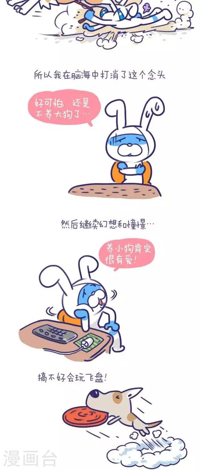 第43话  卜鲁兔与宝瓜-第43话