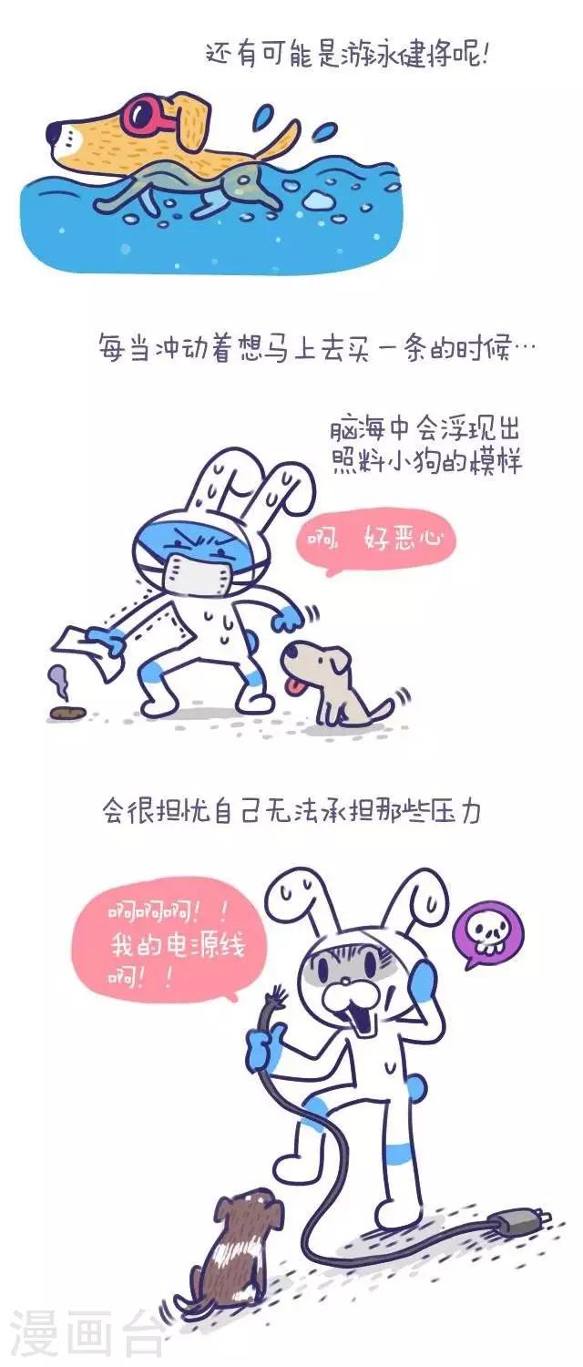 第43话  卜鲁兔与宝瓜-第43话