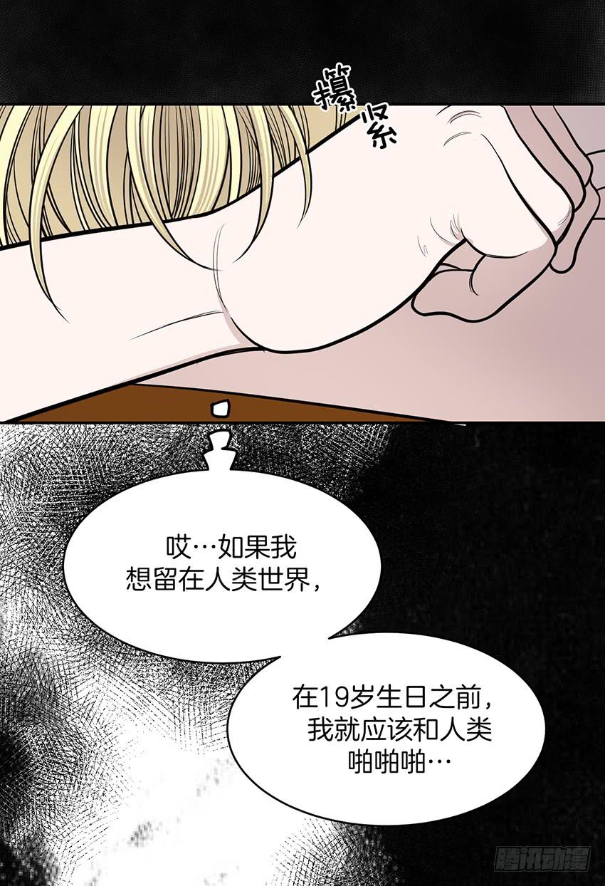 第十九话下-第39话