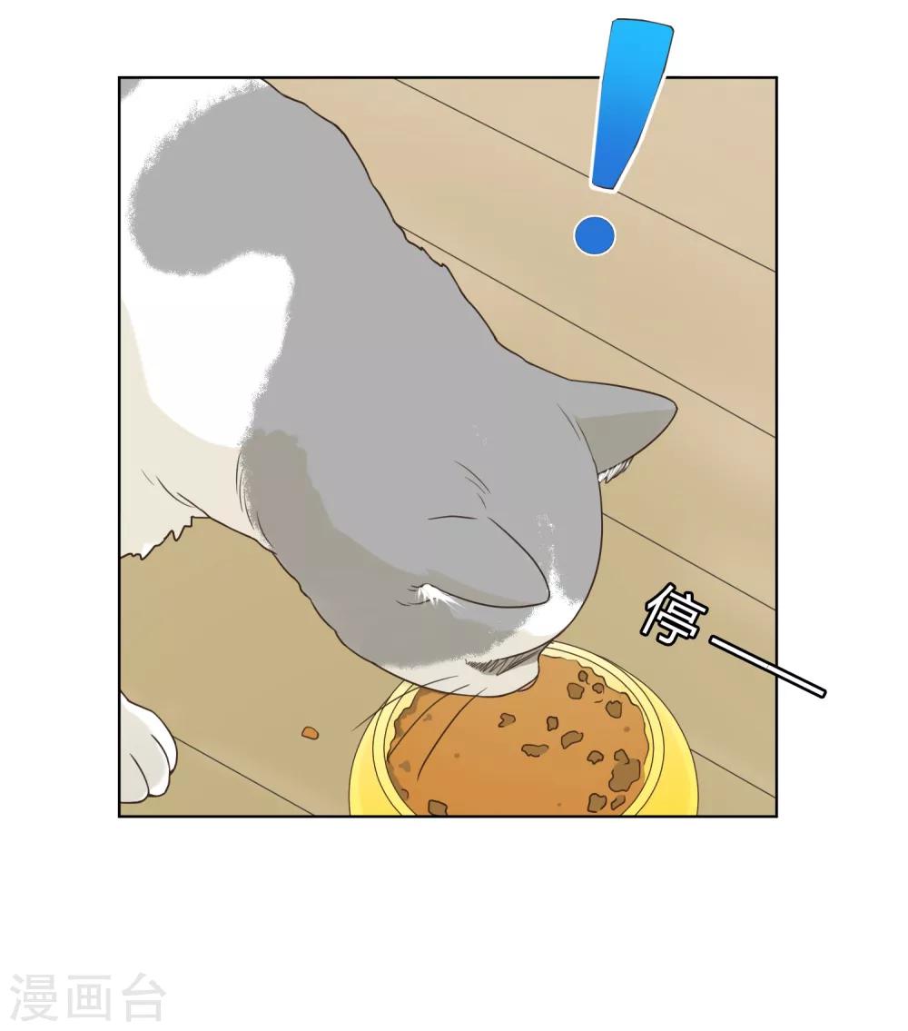 第70话 赴韩2-第71话