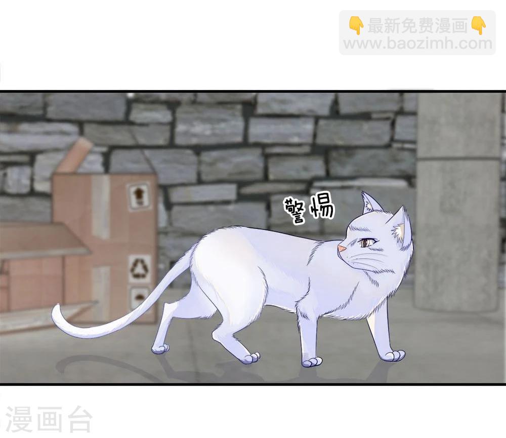 精修版第1-4话 这么点小事都做不好(1/2)-第1话