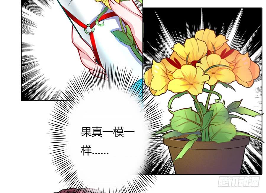 052护花使者(1/2)-第57话