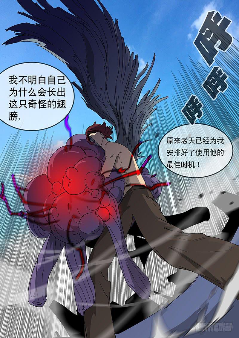 37翅膀-第37话