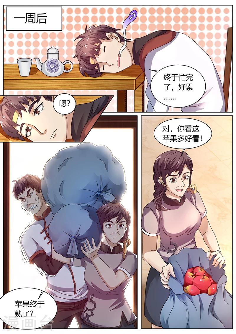 🍶超级神医系统 第59话 十元一个的苹果 第1页