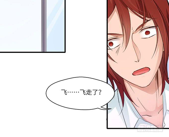 我们又要见面了！(1/2)-第45话