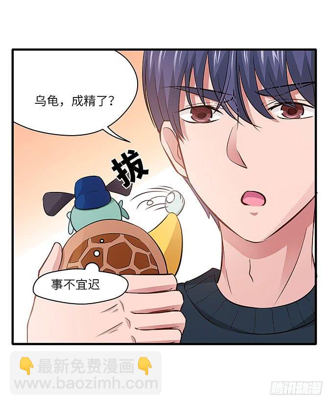 看我通灵龟毛！(1/2)-第47话