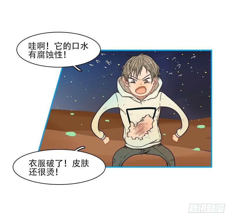 灭虫行动(1/2)-第41话