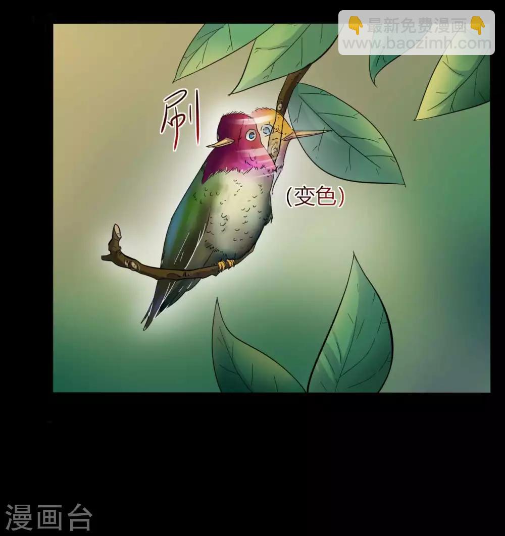 第15话 变脸鸟与指婆-第15话