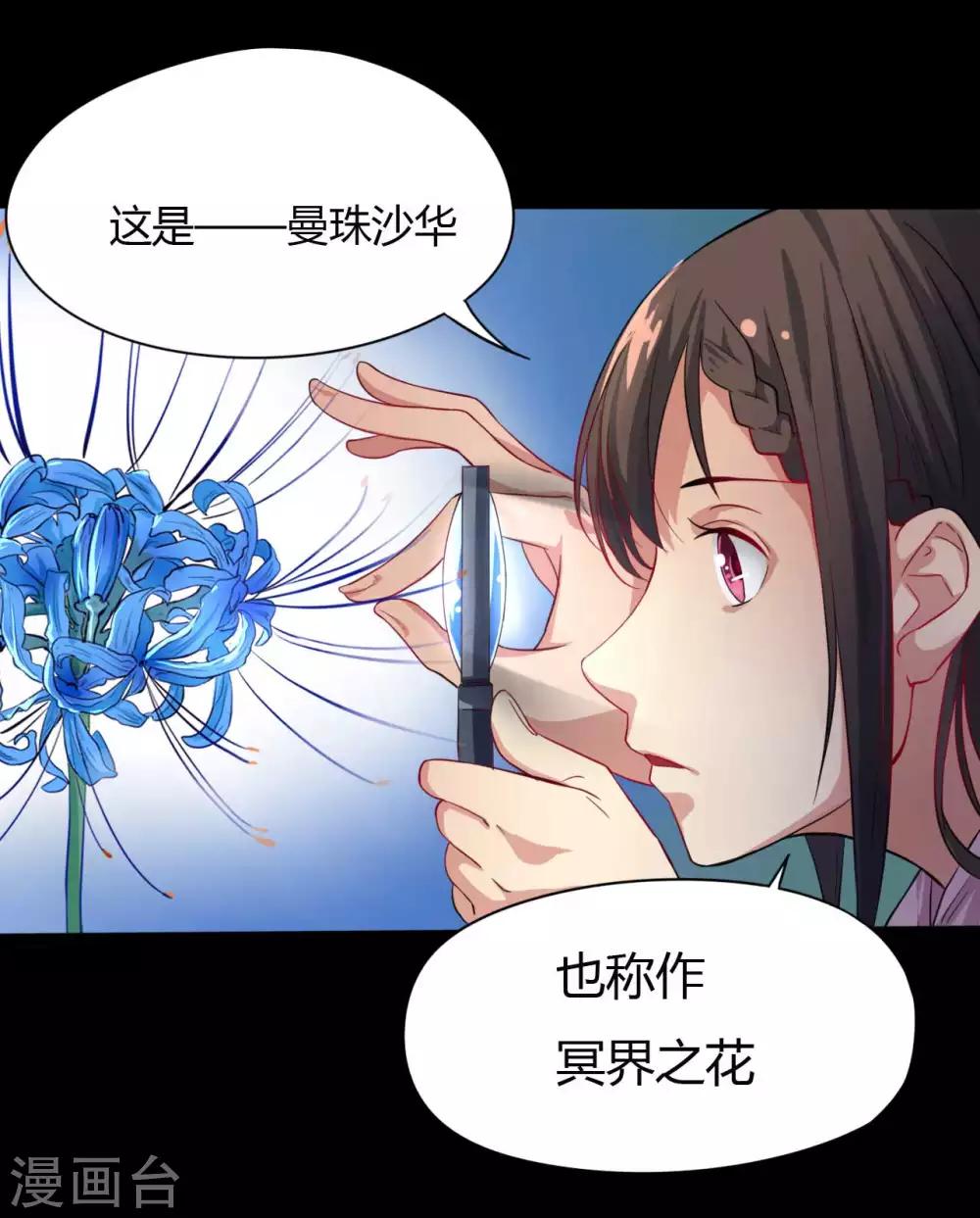 第9话 冥界之花-第9话