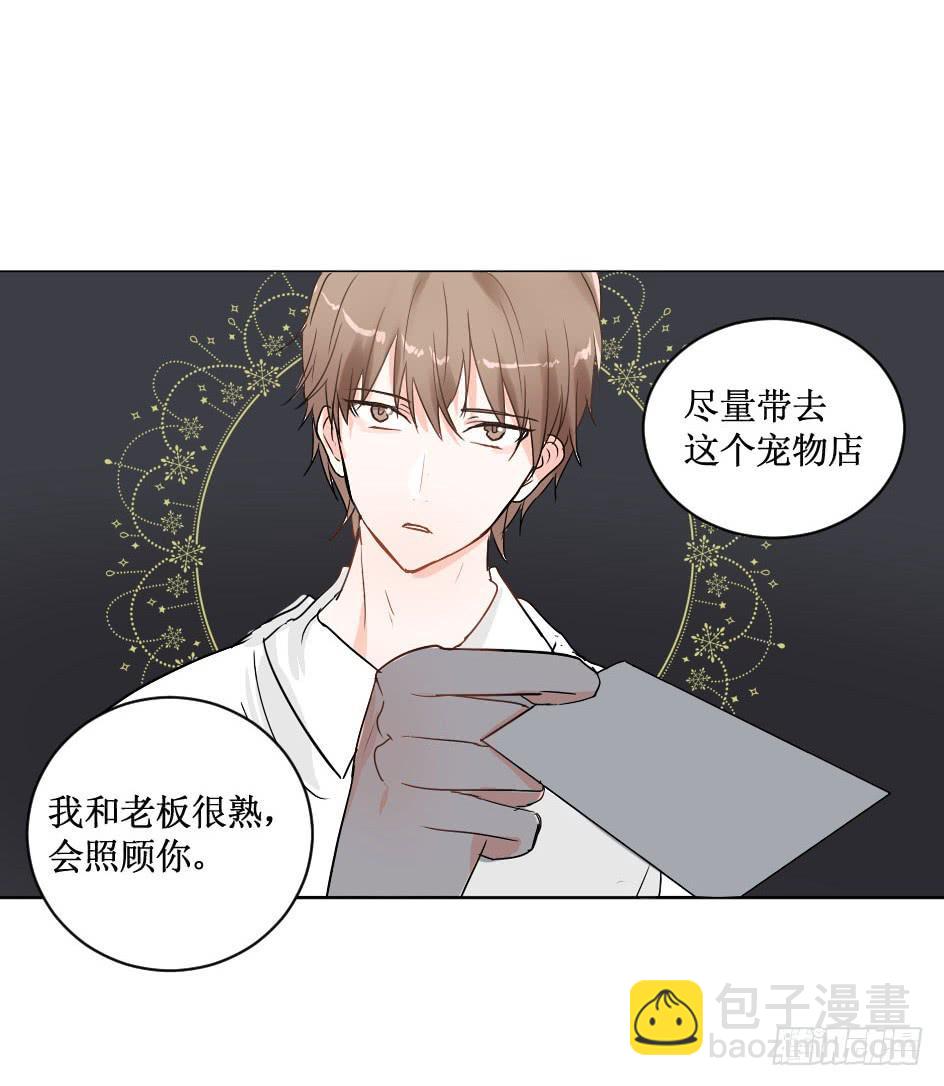 送龙猫做发布会礼物?!-第27话