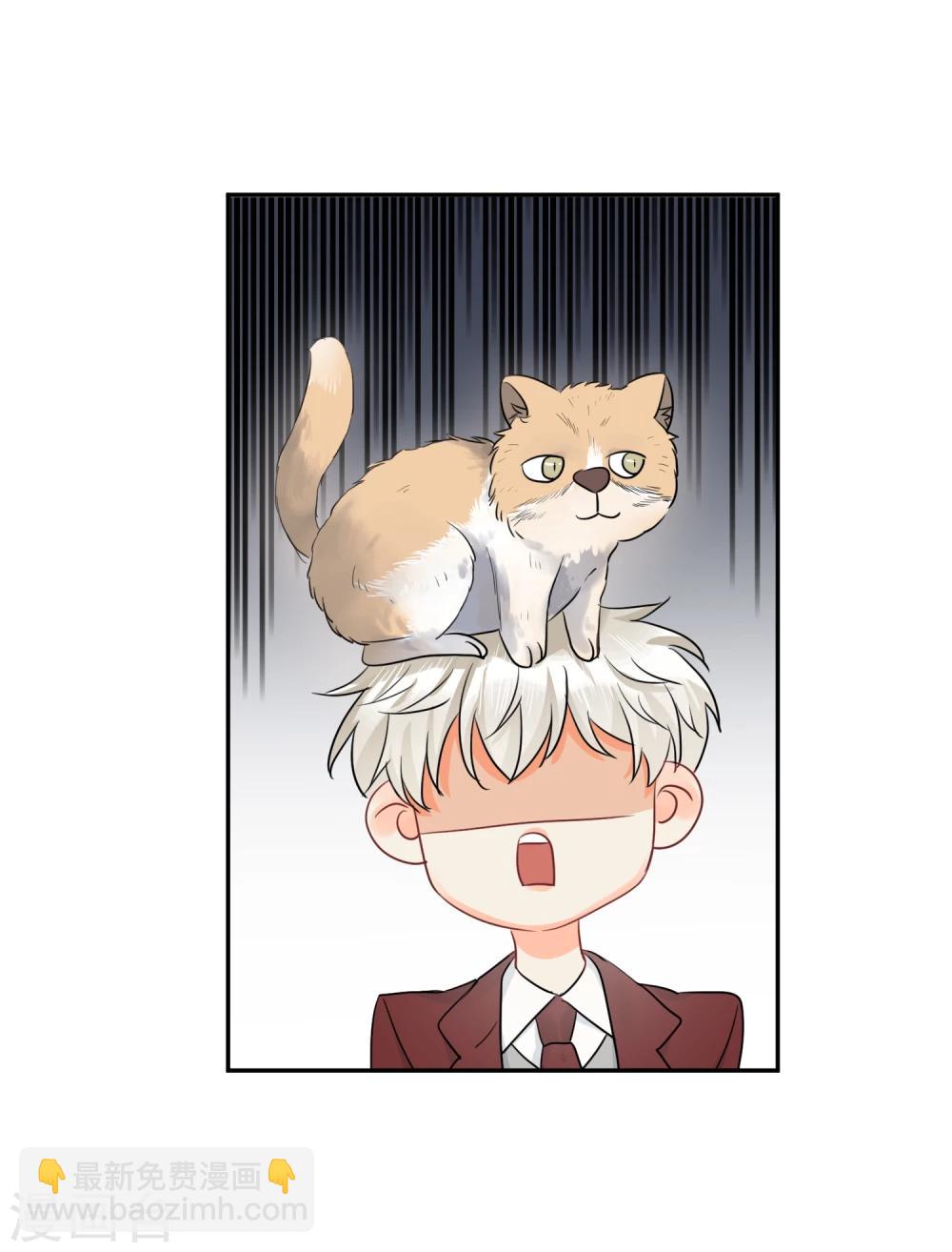 第14话 壁咚你！(1/2)-第15话