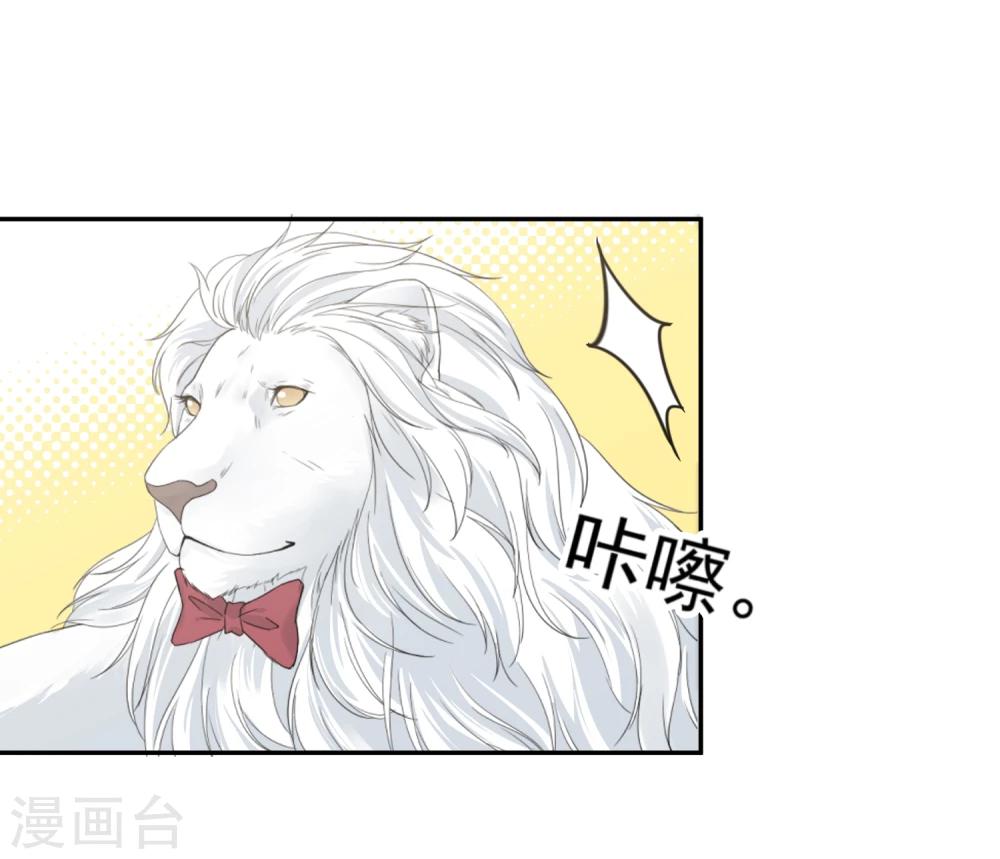 第14话 壁咚你！(1/2)-第15话
