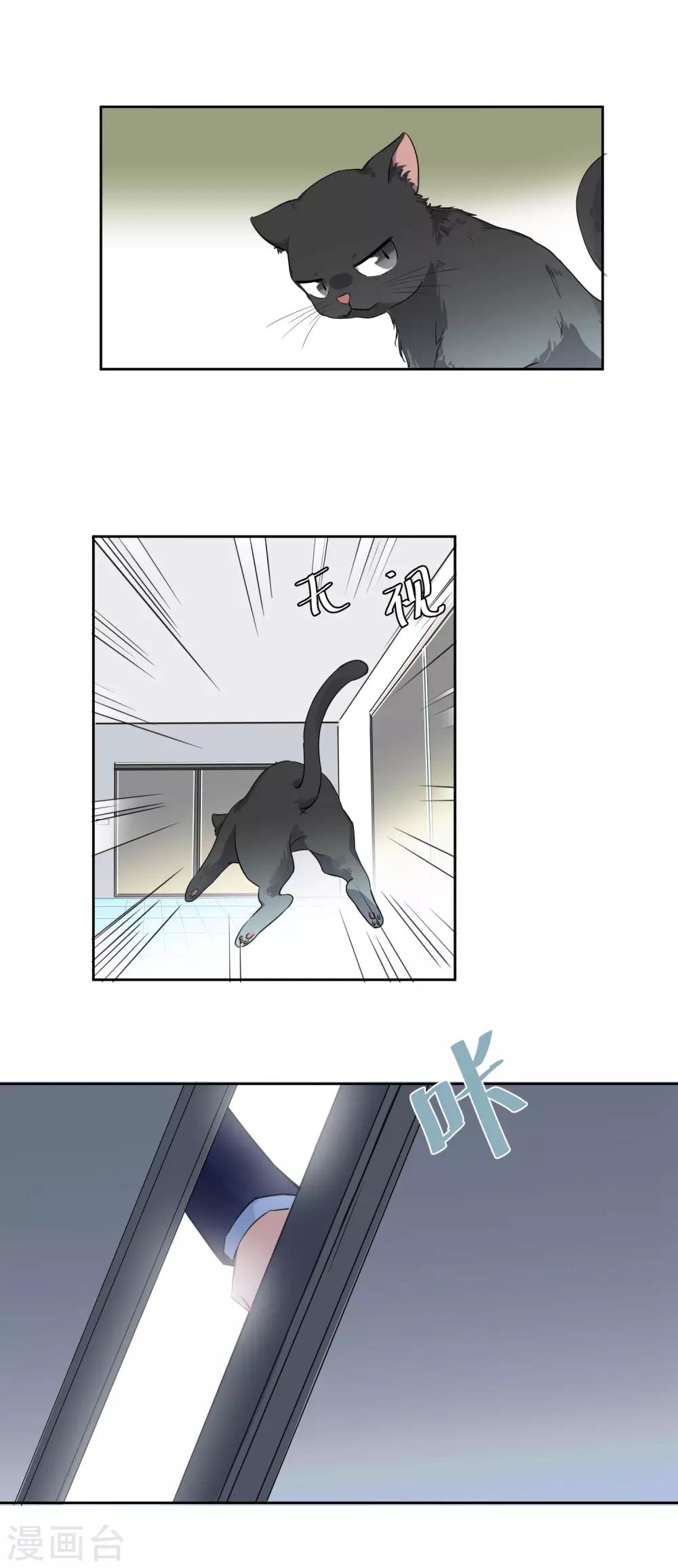 第4话 被打绝育针？！-第5话