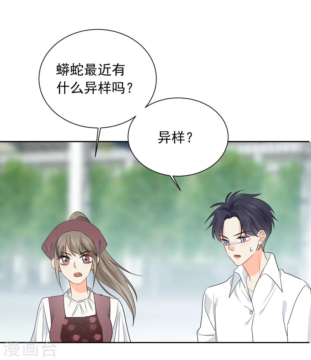 第60话 狂蟒危机2-第61话