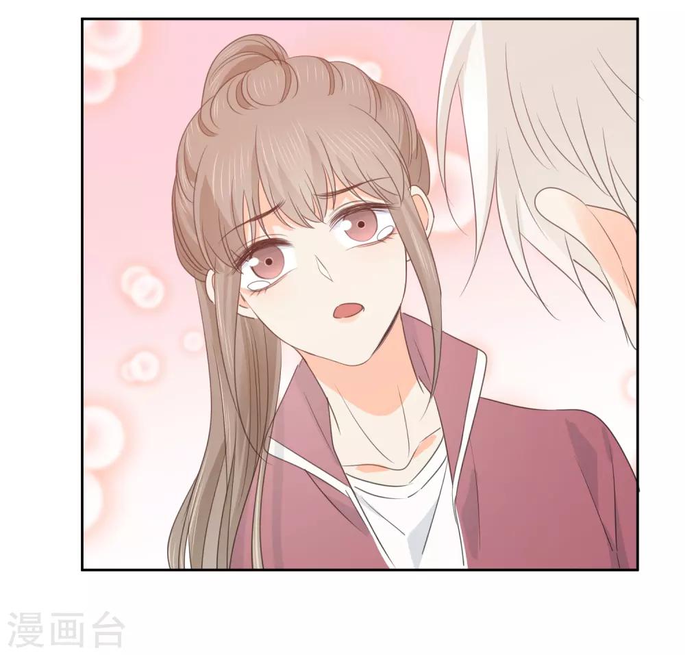 第74话 喜欢你，因为你！-第75话