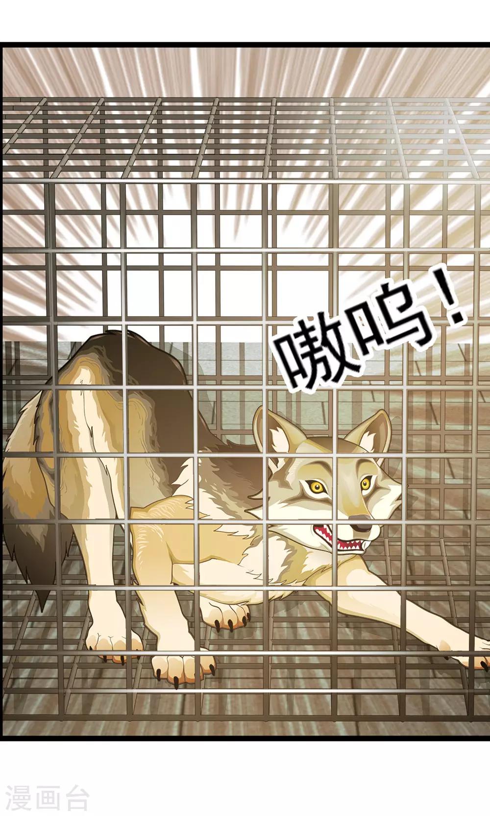 第45话 上门提亲-第49话