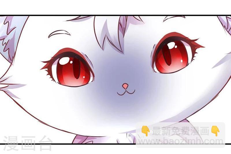🍶穿越之狐王的专宠 第3话 马上洞房吧 第14页