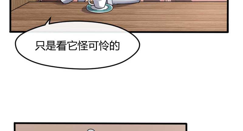 34-会面（一）(1/2)-第37话