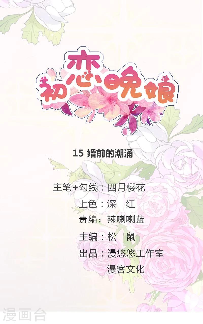第15话 婚前的潮涌-第21话