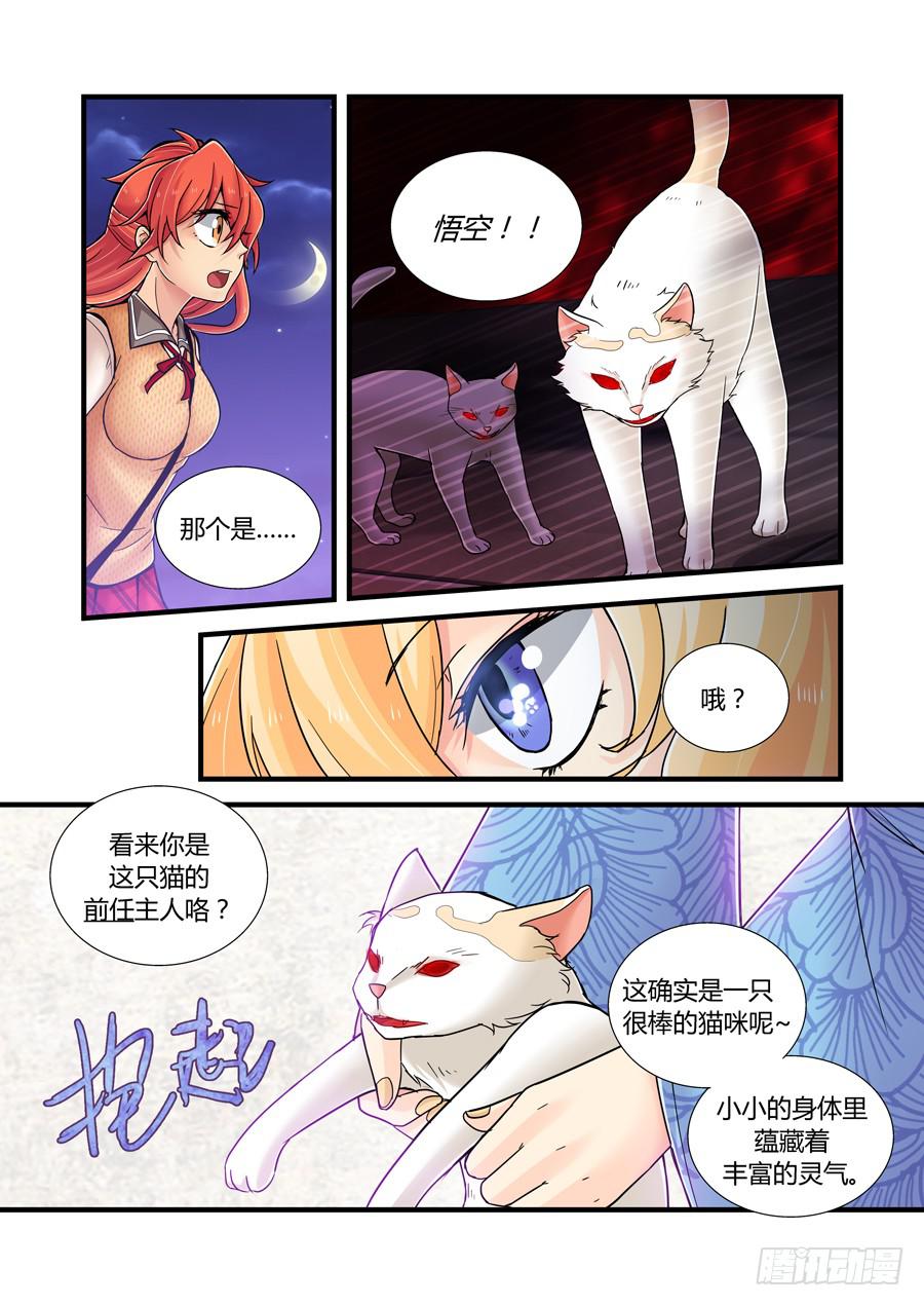 第九话：缠斗-第9话