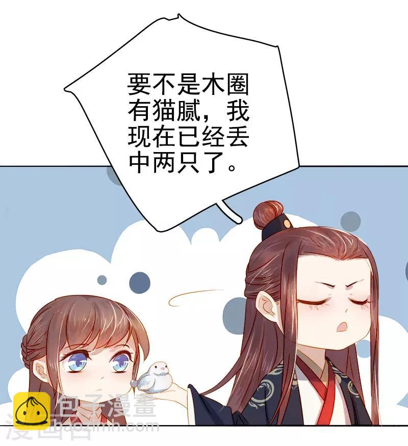 第36话 逛集市-第37话