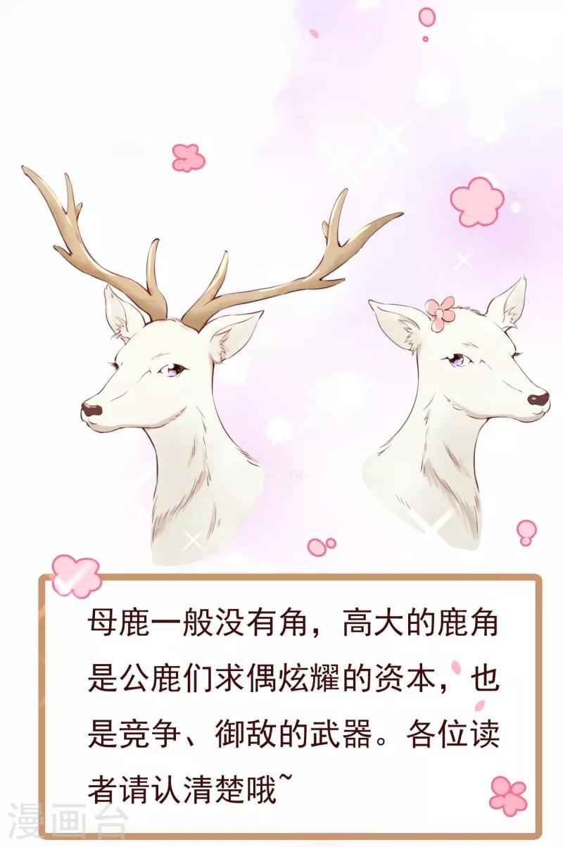 第2季70话 我都心甘情愿-第197话
